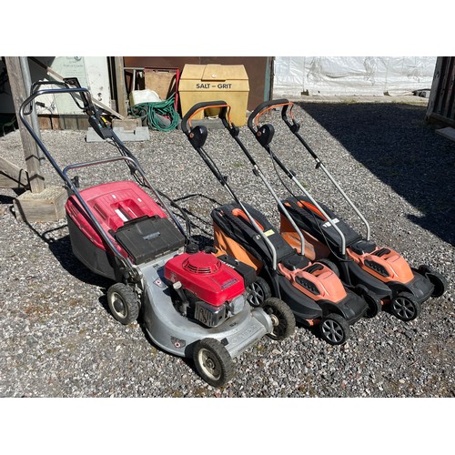 Lot 7         