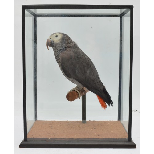 Lot 369       