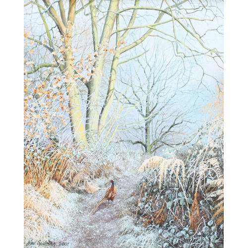 Neil Spilman (British 1951-): A Woodland Path, oil on canvas, depicting ...