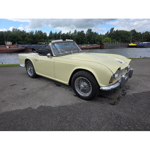 Lot 256       