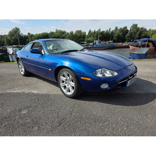Lot 252       