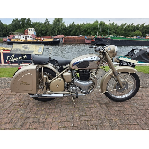 Lot 305       