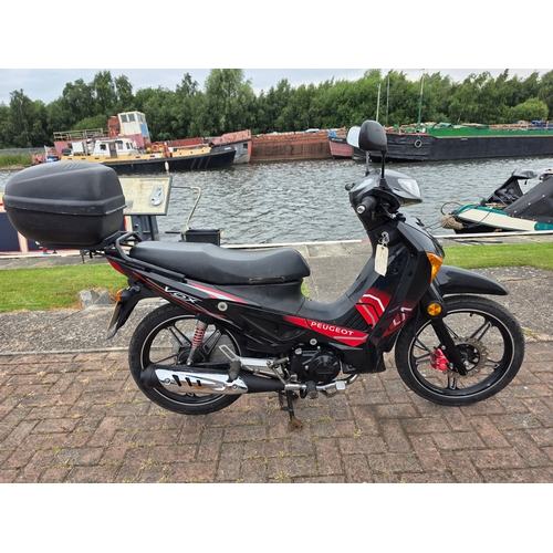 Lot 291       