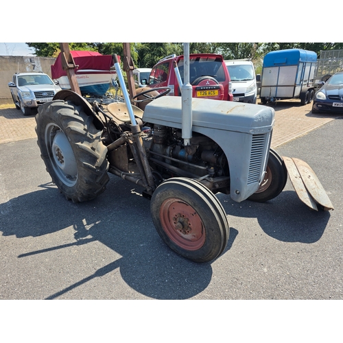 Lot 263       