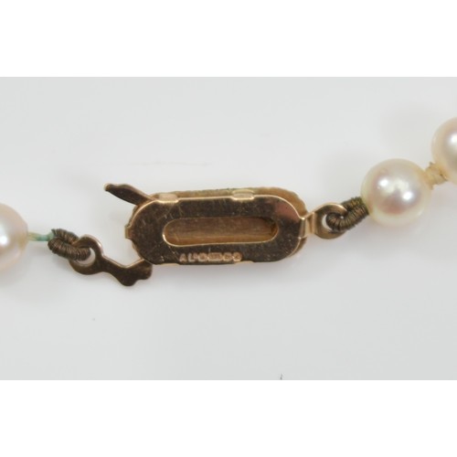 44 - A 9ct gold clasped cultured pearl necklace, 37cm, 12g total weight
