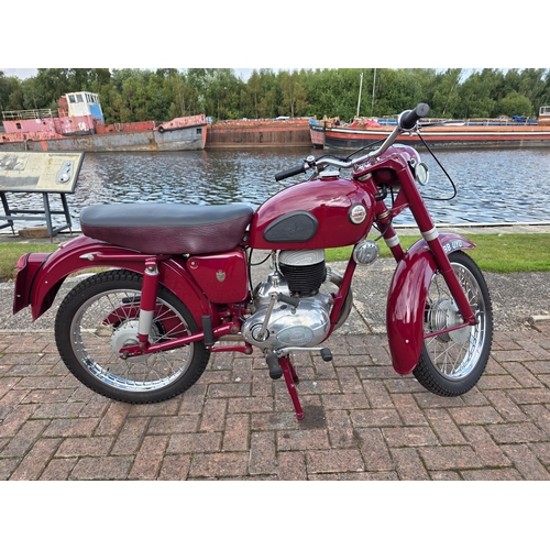 Lot 294       