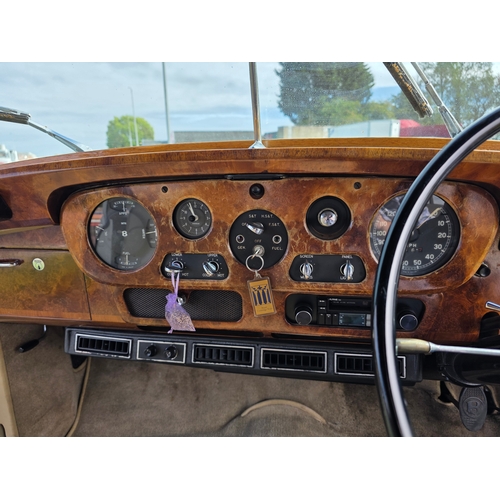 257 - 1961 Bentley S II/III, 6230cc. Registration number 556 XVM, )non transferrable). Chassis number B41 ... 
