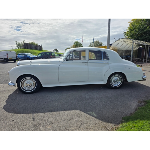 257 - 1961 Bentley S II/III, 6230cc. Registration number 556 XVM, )non transferrable). Chassis number B41 ... 