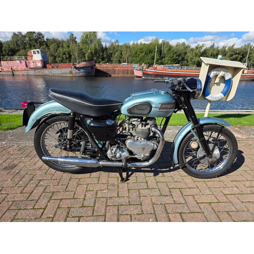 Lot 313       
