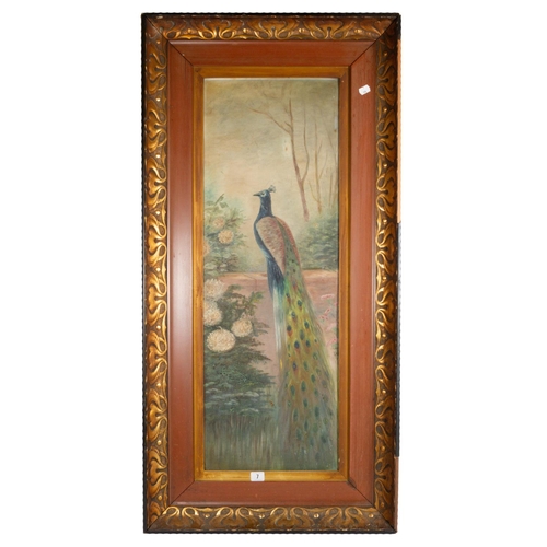 7 - LGE OIL - PEACOCK