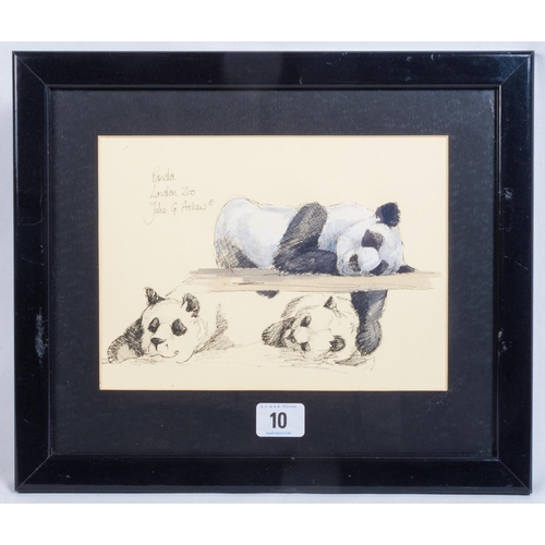 10 - JULIE G ASKEW (BRITISH 1969 -) PEN & WATERCOLOUR WASH LIFE STUDY OF A PANDA AT LONDON ZOO 29 X 34CM