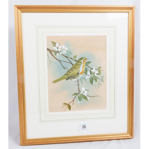 26 - BASIL EDE (BRITISH 1931 - 2016) ORIGINAL WATERCOLOUR OF A ROBIN IN CHERRY BLOSSOM UNSIGNED SIGNATURE... 