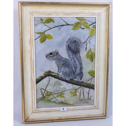 9 - DICK TWINNEY (BRITISH 1943 - ) ORIGINAL ACRYLIC ON CANVAS GREY SQUIRREL LIFE STUDY 58 X 43CM