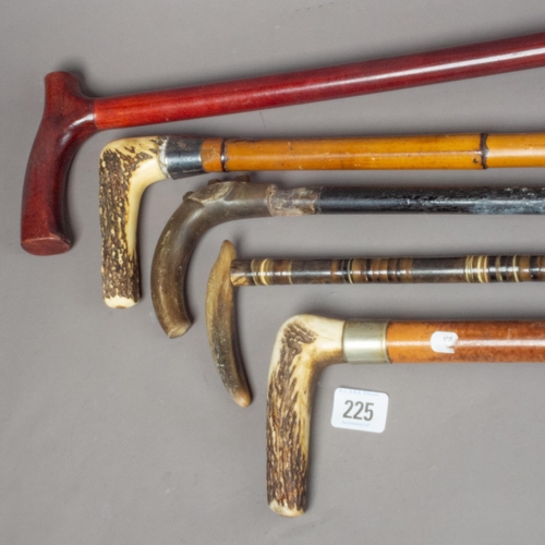 225 - COLLECTION OF FIVE WALKING STICKS