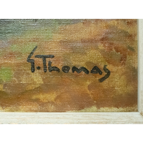 37 - OIL ON CANVAS SIGNED G THOMAS CANVAS 49x72CM FRAME 67x91CM