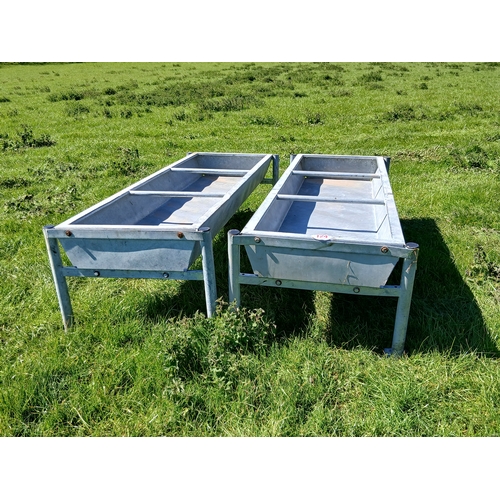 124 - PAIR OF CATTLE TROUGHS