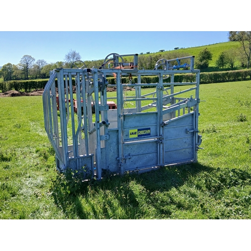 128 - IAE CATTLE CRUSH