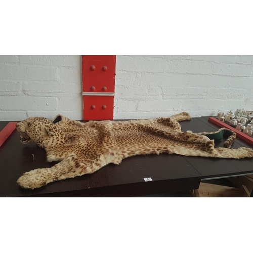 5 - An early Leopard skin
