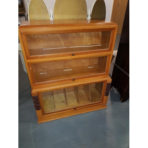 234 - Globe Wernicker style bookcase