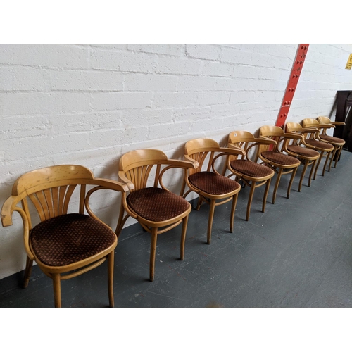 663 - Set of 8 Hescot Brentwood chairs