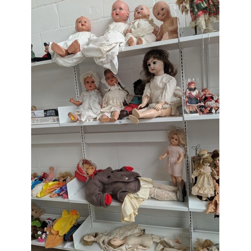 53 - Vintage dolls including bisque, German, large standing doll etc.