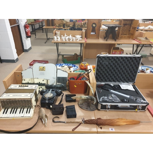 43 - A vintage lot to include a Hohner accordion, telephone, mirrors, camera, etc