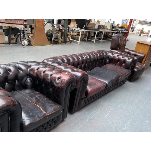 559 - A Chesterfield red leather three seater sofa and two armchairs