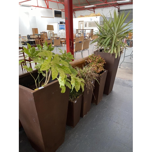 330 - Five planters with plants