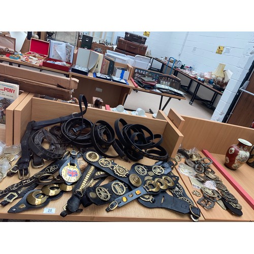 20 - A large quantity of horse brasses (some early), reins, books on horse brass collecting etc.