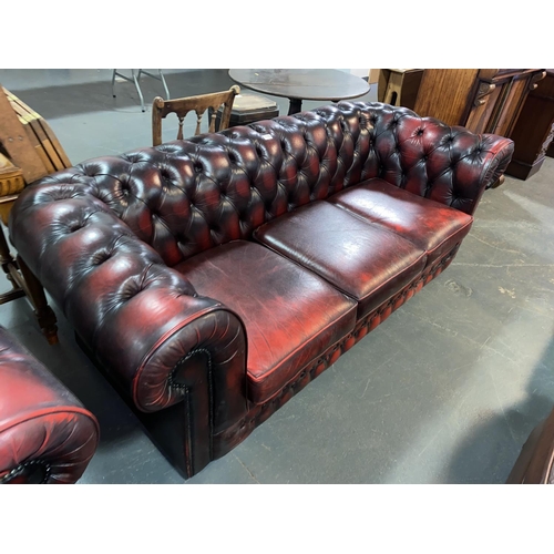 115 - A three seater oxblood Chesterfield sofa