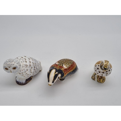 265 - Three large Royal Crown Derby paperweights - Song Thrush, Moonlight Badger and a Snowy Owl - all 1st... 