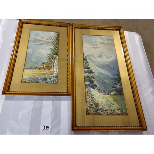 116 - Two framed watercolours - mountain scenes. 19 inches x 8 inches and 13 inches x 7 inches