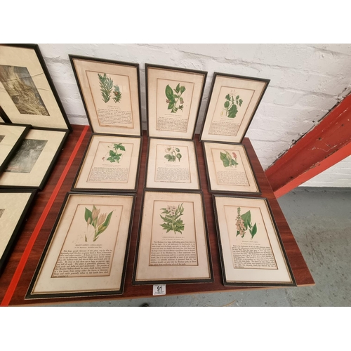 91 - A set of early framed botanical prints (9 in total)