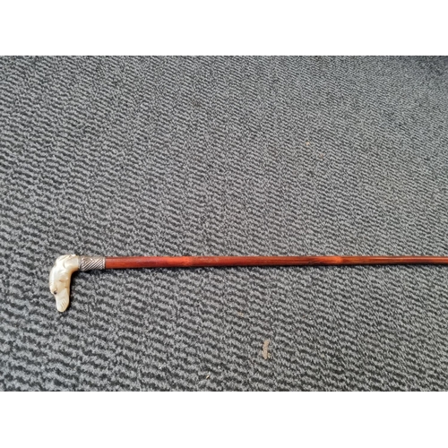 207 - A ladies walking cane with a mother of pearl dog head handle and white metal collar