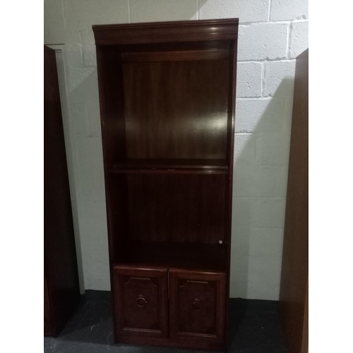 382 - A mahogany bookcase