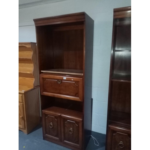 384 - A mahogany bookcase