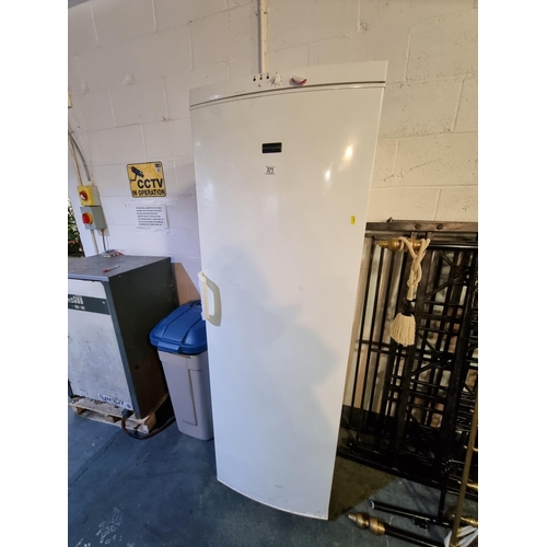 371 - a Frigidaire tall freezer