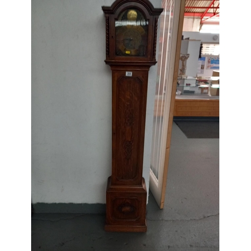 204 - An oak cased Tempus Fugit granddaughter clock with pendulum