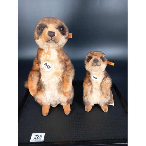 225 - A large Steiff meerkat 