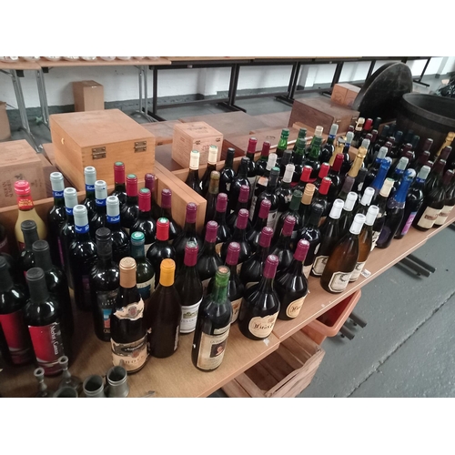 29 - A selection of approximately 200 bottles of wine to include Mundana, Sauvignon, Chardonnay etc