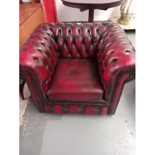 150 - A red leather Chesterfield arm chair