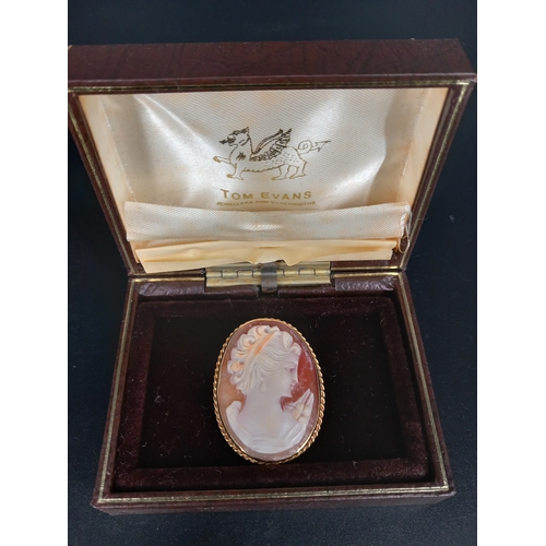 214 - A 9k gold Cameo brooch