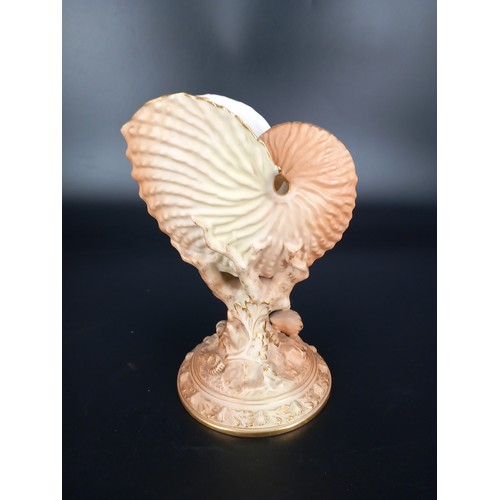 201 - A Royal Worcester blush ivory nautilus vase 21cm high (perfect condition)