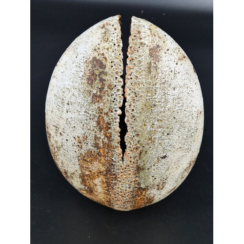 242 - Alan Wallwork studio pottery large oval stoneware vessel incised A W - 35cm high. Condition is good,... 