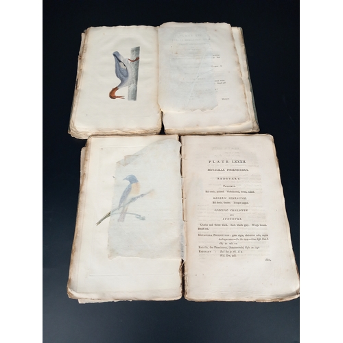 203 - Donovan (Edward) The Natural History of Birds - Volume III and IV - Volume III dated 1796 and volume... 