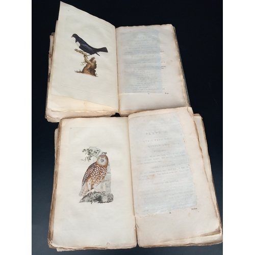 203 - Donovan (Edward) The Natural History of Birds - Volume III and IV - Volume III dated 1796 and volume... 