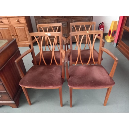 169 - Four G Plan carver dining chairs