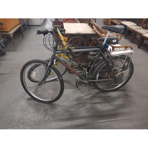 426 - A sycamore and a peugeot bicycle