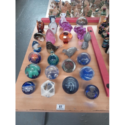 61 - Glass paperweights