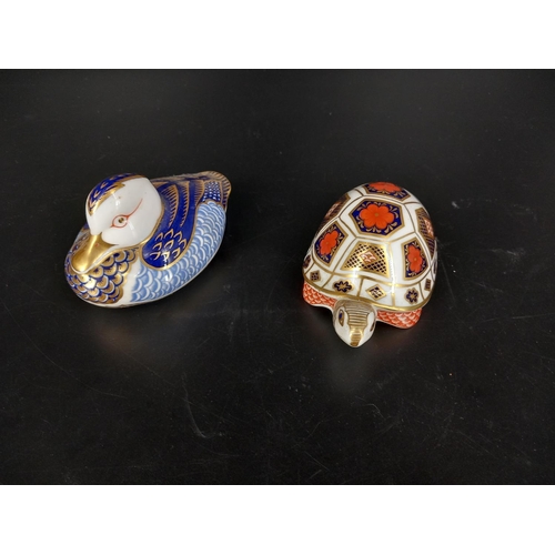 221 - A Royal Crown Derby duck paperweight (no button) and a Royal Crown Derby tortoise (no button)